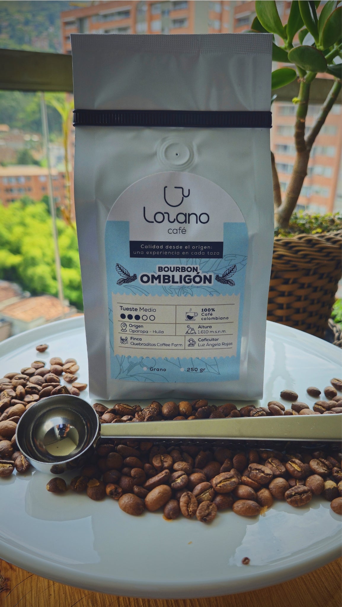 Exótico - Lozano Café - Bourbon Ombligon